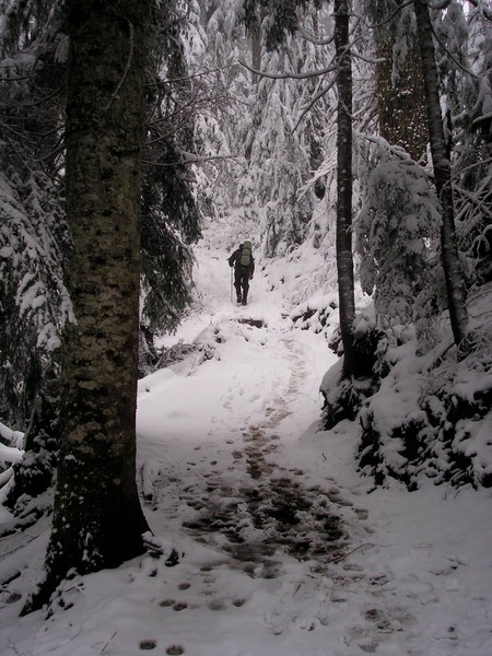 PB080018.JPG