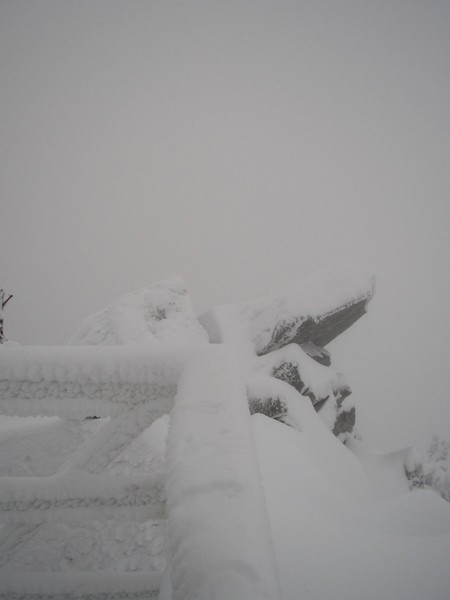 PB080056.JPG