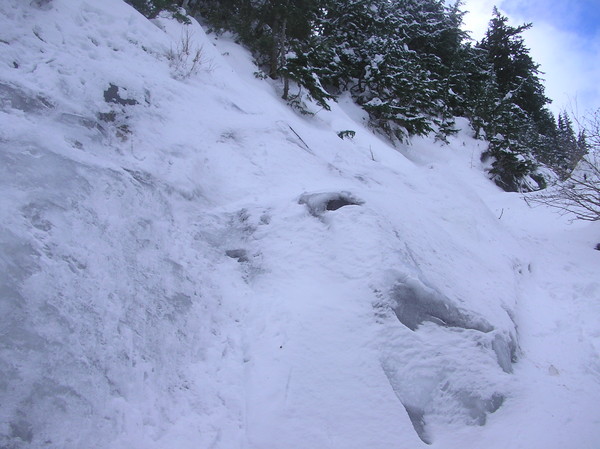 PC222466.JPG
