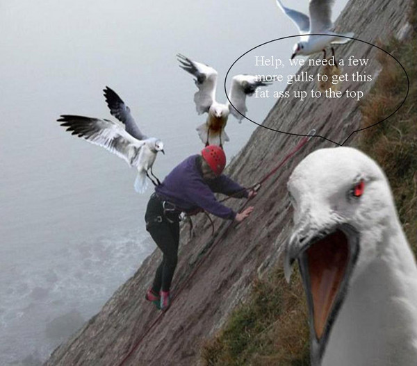 Publication1.jpg