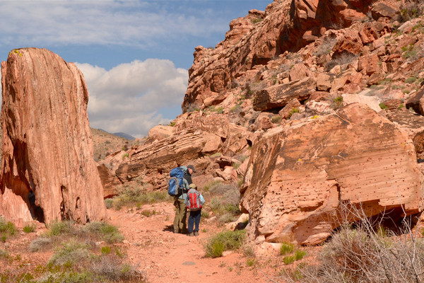 Red_Rock_Canyon_Las_Vegas_NV_-_DSC_1572_2.jpg