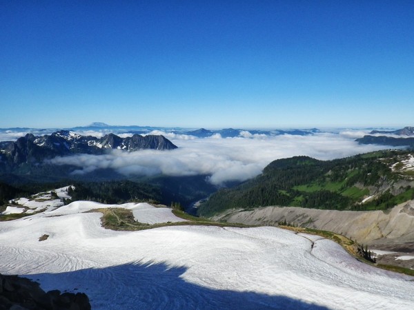 St_Helen_s_from_Pebble_Creek_on_Rainier.JPG