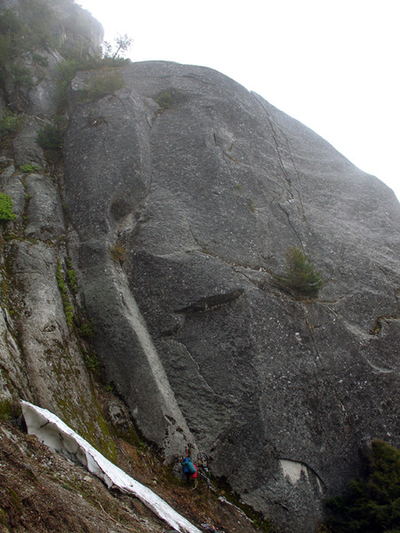 Woodland_Critter_s_Christmas_Crag.jpg