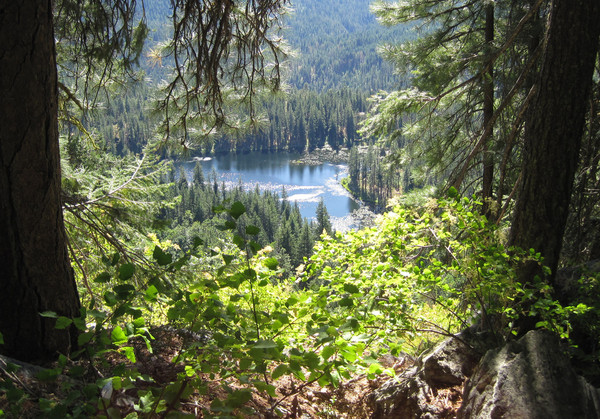 coon_lake_copy.jpg