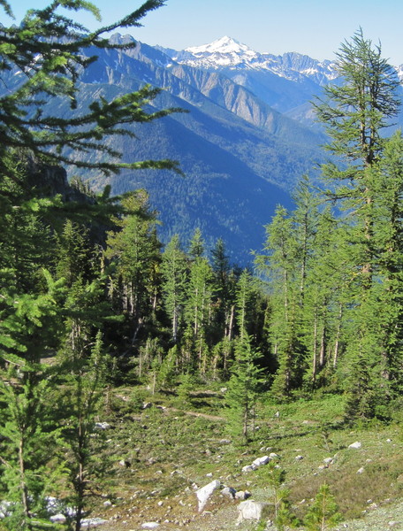glacier2.jpg