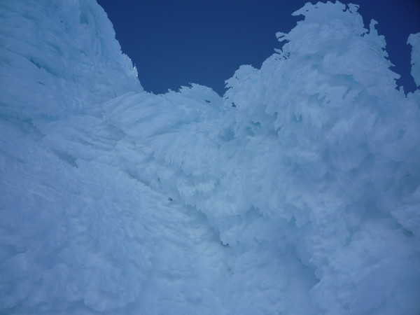 hoodWE_033.jpg