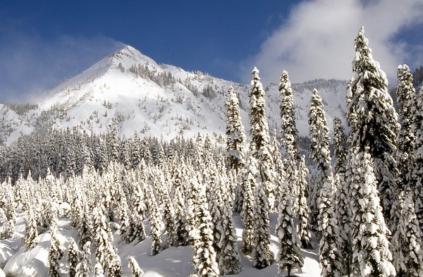 img339_2_.jpg