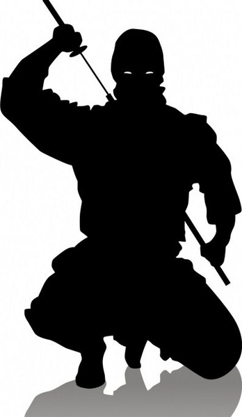 ninja_crouch.jpg