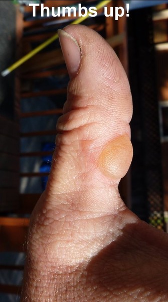 thumbs_up.jpg