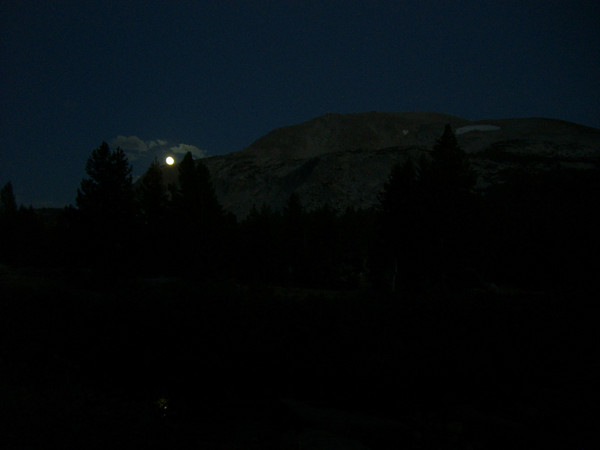 tmeadows27.jpg
