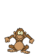monkey2.gif