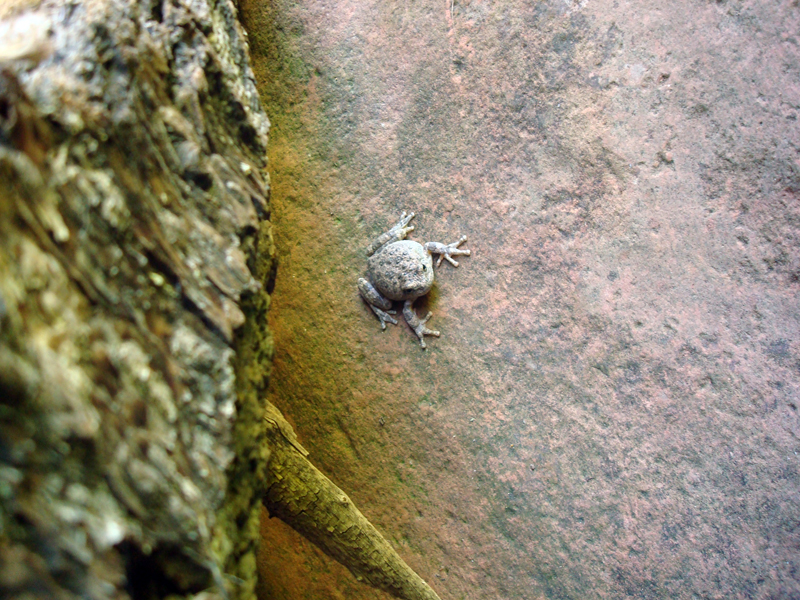 secret_Canyon_resize21.jpg
