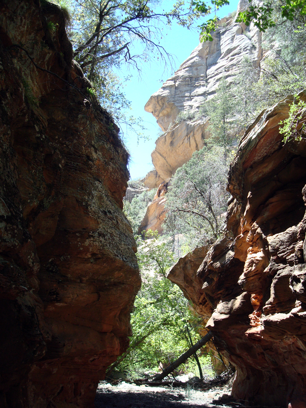 secret_Canyon_resize31.jpg