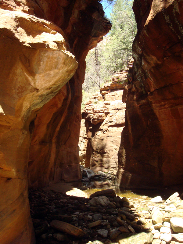 secret_Canyon_resize41.jpg