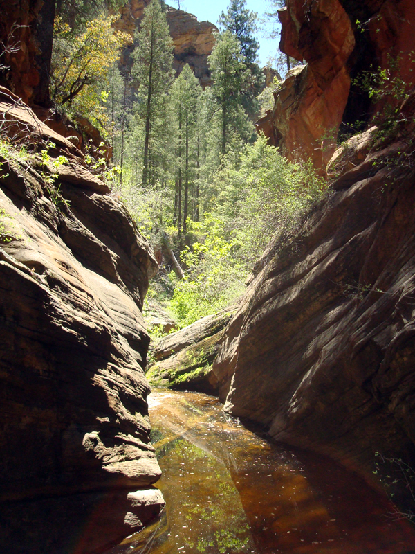 secret_Canyon_resize42.jpg