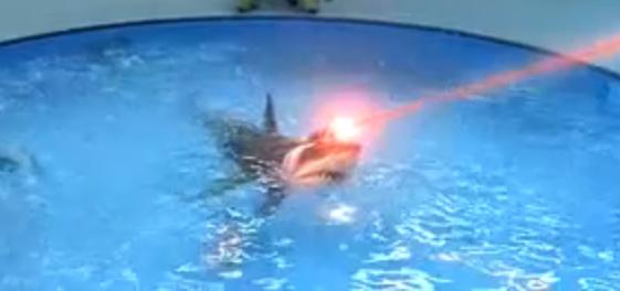 sharks_w_laser_beams.JPG