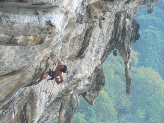 small_tonsai_climbing.jpg