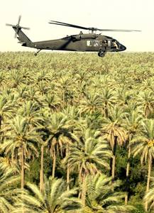 5377040720-F-0193C-015-med.JPG