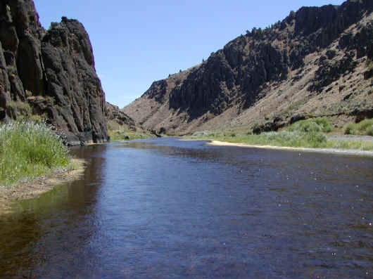 7003owyhee3.jpg