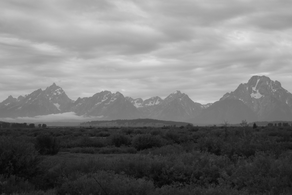 BWteton2.jpg