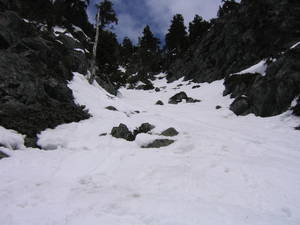 10177gulley-med.jpg