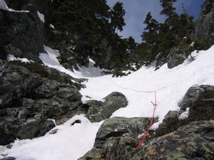 10177gulley_2-med.jpg