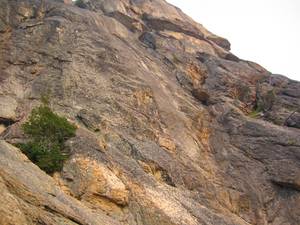 10674IMG_1219-med.JPG