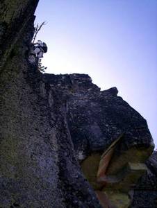 11247wedge4-med.jpg