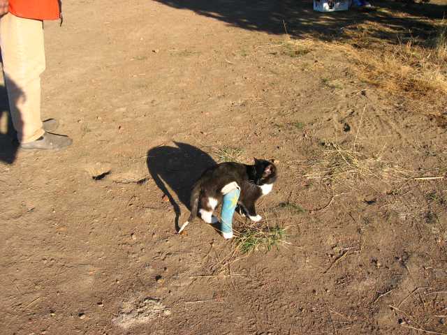 136IMG_1576.JPG
