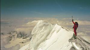 1826alpinfox1-med.jpg