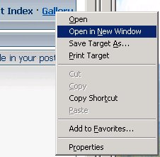 2583OpenNewWindow.jpg