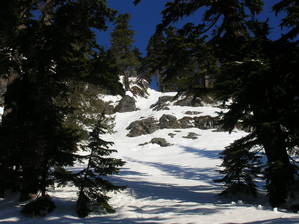 3146S_Gully_2-19-06_14_-med.jpg