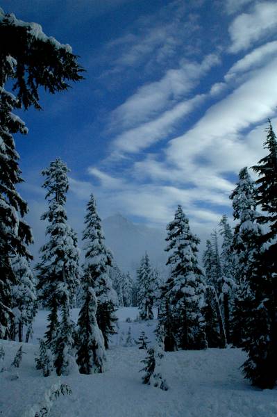 3256sled_106small-med.jpg
