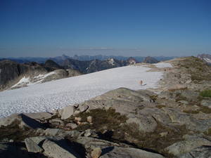 339P7210031-med.JPG