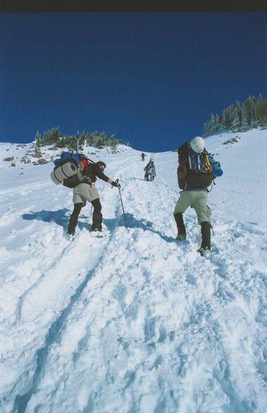 6323Muir_Snowfield-med.jpg