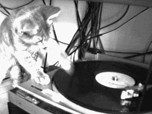DJ_Kitty.gif