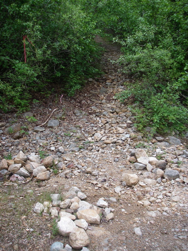 IMGP0360.jpg
