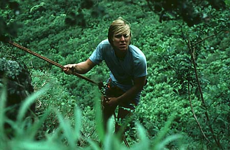 Iao.jpg