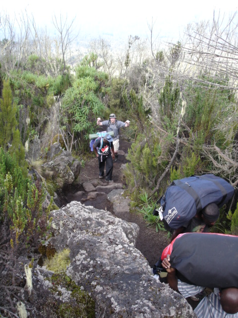 Kilimanjaro_021.jpg