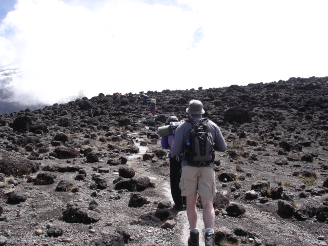 Kilimanjaro_027.jpg
