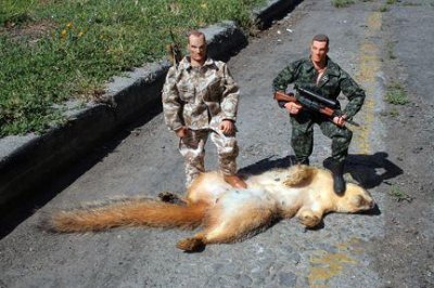 Snaffle_hunt_jpg.jpg