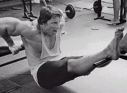 arnold-dips.gif