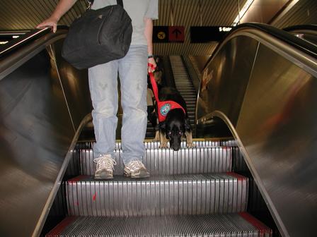 doobie_on_escalator.jpg