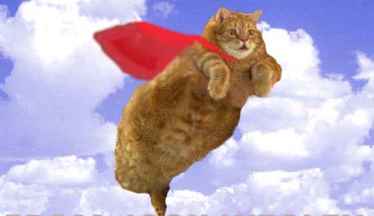 flying_cat.jpg