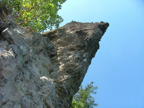 2008_0823fossil0005.JPG
