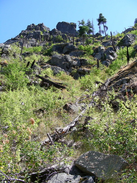 Bushwhack_Approach_to_Tumwater_Tower.jpg