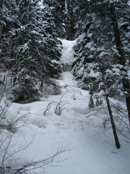 Chinook_Pass_do_not_know_the_name_of_this_one_either.jpg