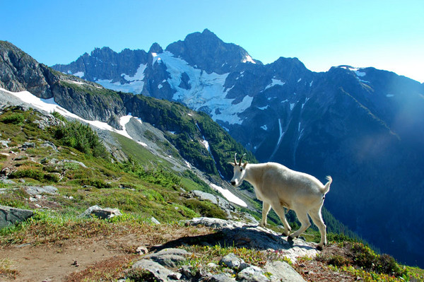 DSC_0327_copy.jpg