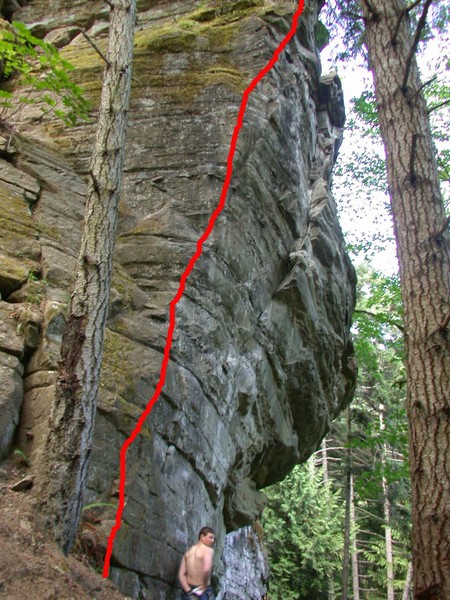 Elwha.jpg