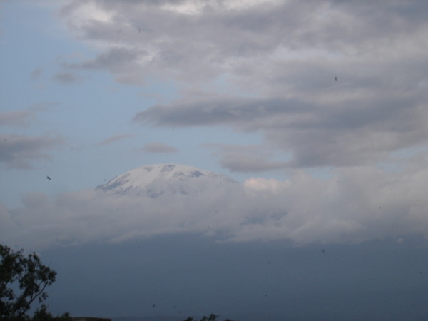 Kilimanjaro_013.jpg